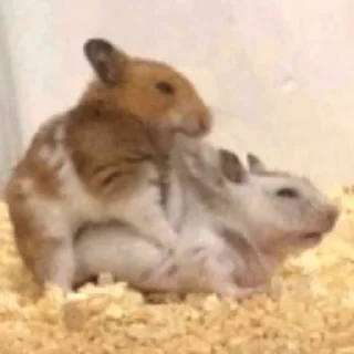 😋