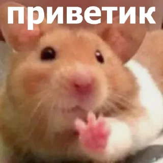 👋