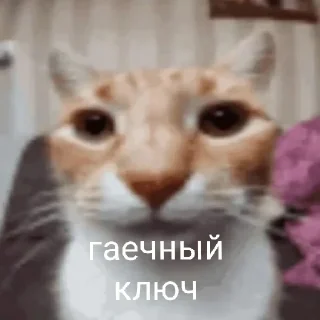 хуета с пинтереста от @sk1tlxs