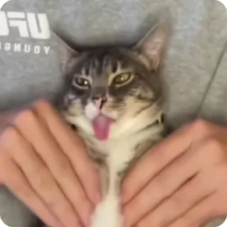 💆‍♂️