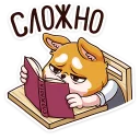 📚
