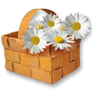 💐