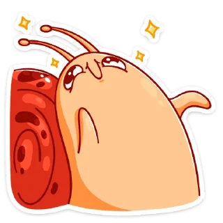 🌟