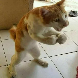 😡