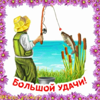 🐟