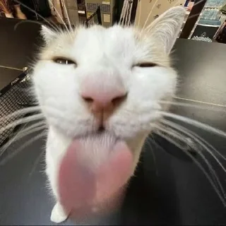 👅