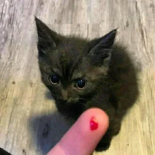 😠