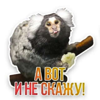 🙊