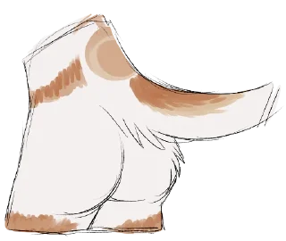 🍑