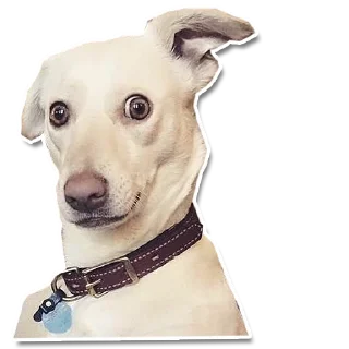 😲