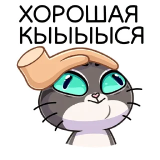 😼