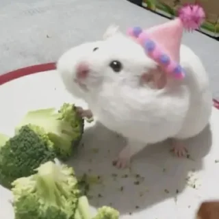 🥳