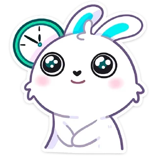 🐰