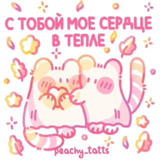 🐈