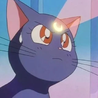 ✨