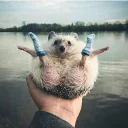 ☺️