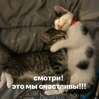 ☺️