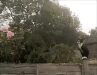😄