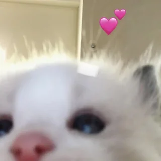 💕
