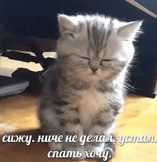 😴