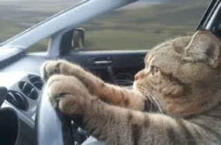 🏎