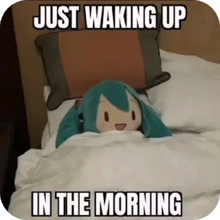 ✋