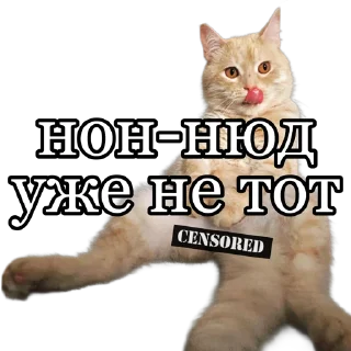 🔞