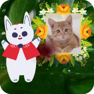 🐱