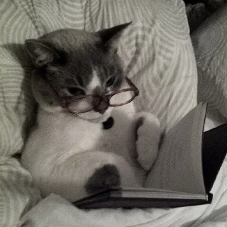 🤓