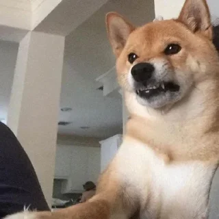 😡