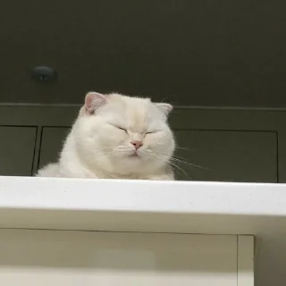😑