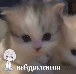 🥺