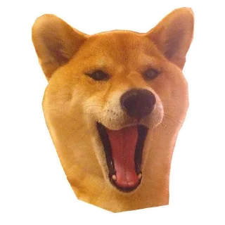 🐶