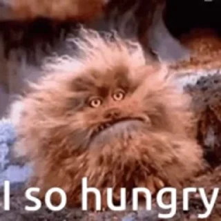 🍽