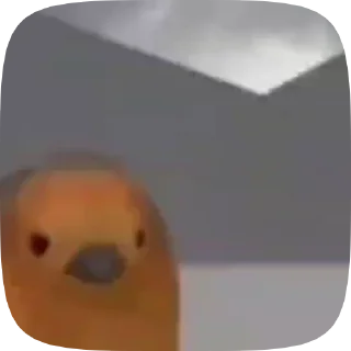 🐦