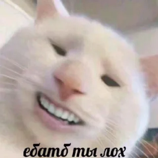 😂