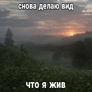 🧂