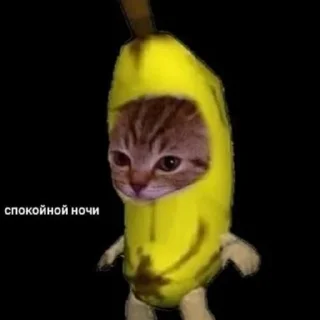 🥱
