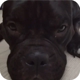 👄