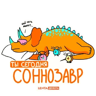 😴