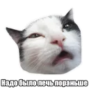 😴