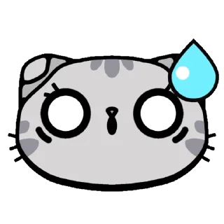 🙀