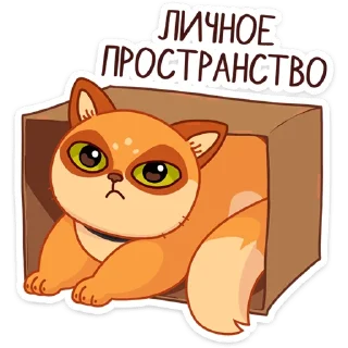 📦