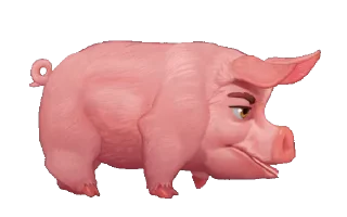 🐖