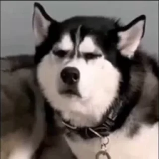 🤨