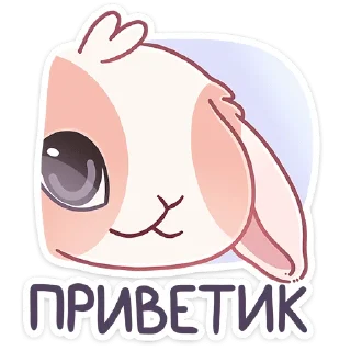 👋