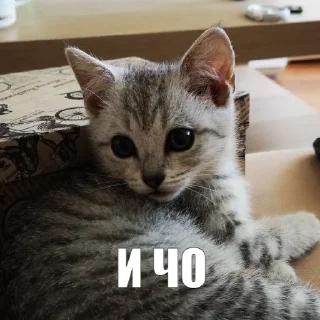 😎