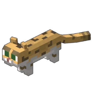 🐈