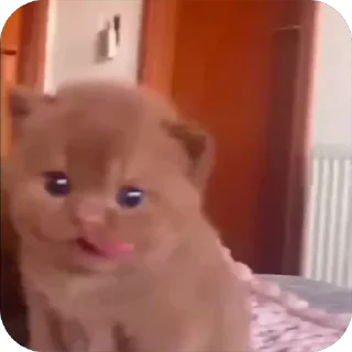 🥺