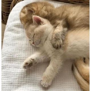 😍
